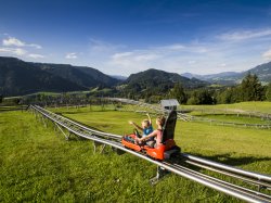Sommerrodeln mit Bergpanorama