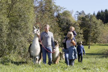 Lamatrekking Lamaland Sommer