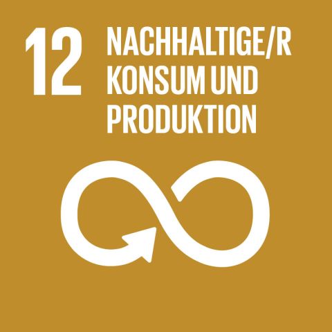 17 UN-Nachhaltigkeitsziele