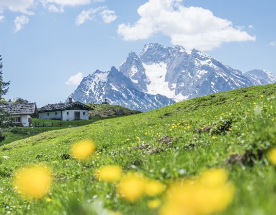 Frühling in Berchtesgaden: wenn alles sprießt sind rund um den Königssee bereits viele Wanderungen möglich.