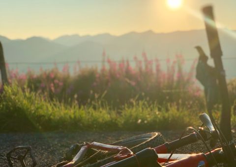 Abendliche Runde mit dem Bike zum Altstädter Hof