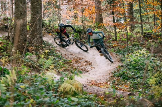 Nahe Garmisch-Partenkirchen, nämlich in Oberammergau befindet sich der Bikepark Oberammergau für Mountainbiker jedes Schwierigkeitslevels. Komm vorbei und teste Dein Können auf dem MTB.