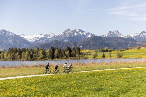 Die Sonne scheint Dir in den Nacken, Du spürst den Wind in Deinen Haaren, Deine Augen leuchten, Dein Herz macht Freudensprünge und diese Aussicht auf die umliegende Landschaft!