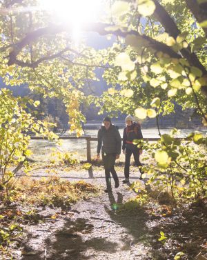 In Hinterstoder gibt es viele Möglichkeiten in den Tag zu starten. Ob einen Spaziergang um den Schiederweiher oder eine der zahlreichen Wandertouren. Für jeden ist etwas dabei ;)