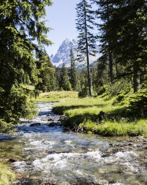 Durch das Silbertal über Bäche, durch Wälder und auf Hügel hinauf geht es stetig bergauf in Richtung Berg Patteriol in Tirol.