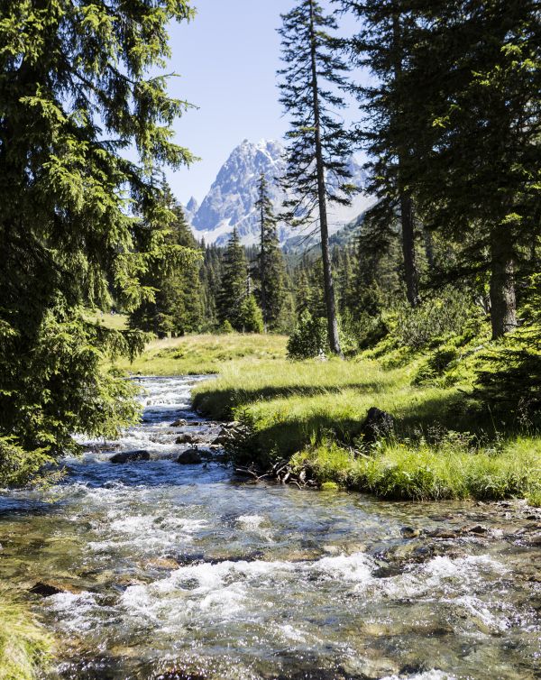 Durch das Silbertal über Bäche, durch Wälder und auf Hügel hinauf geht es stetig bergauf in Richtung Berg Patteriol in Tirol.
