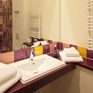 Fühl Dich wohl in unserem Explorer Gute-Laune-Bad - einem großzügigen Raum mit einer übergroßen Dusche. Vor allem das leuchtende Farb-Mosaik macht gute Laune.