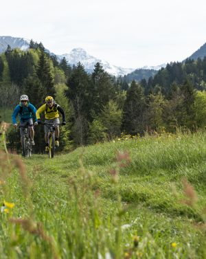 Sportlich und aktiv, das sind Alpen-Entdecker der Explorer Hotels. Die schönsten Mountainbike Touren findest Du in den Allgäuer Alpen.
