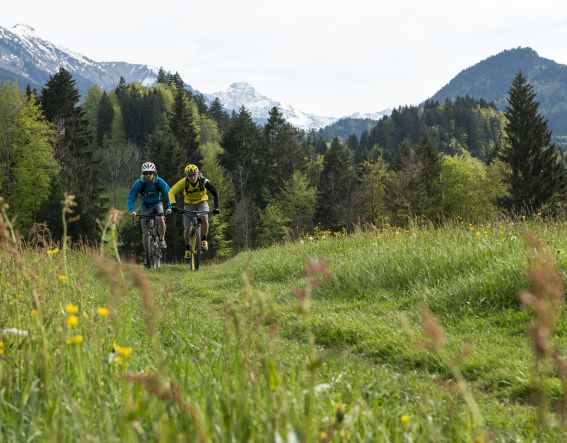 Sportlich und aktiv, das sind Alpen-Entdecker der Explorer Hotels. Die schönsten Mountainbike Touren findest Du in den Allgäuer Alpen.