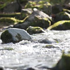 Hier kannst Du Dich in der Wertach erfrischen und dem Plätschern lauschen.