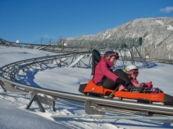 Rasante Rodelpartie im Allgäu-Coaster