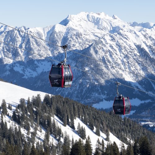 Fellhornbahn II Nahaufnahme